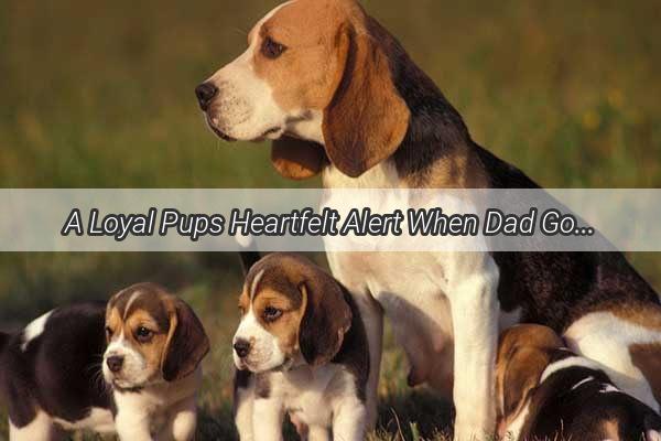 A Loyal Pups Heartfelt Alert When Dad Got Bullied Mom Got Saved by a Canine Hero